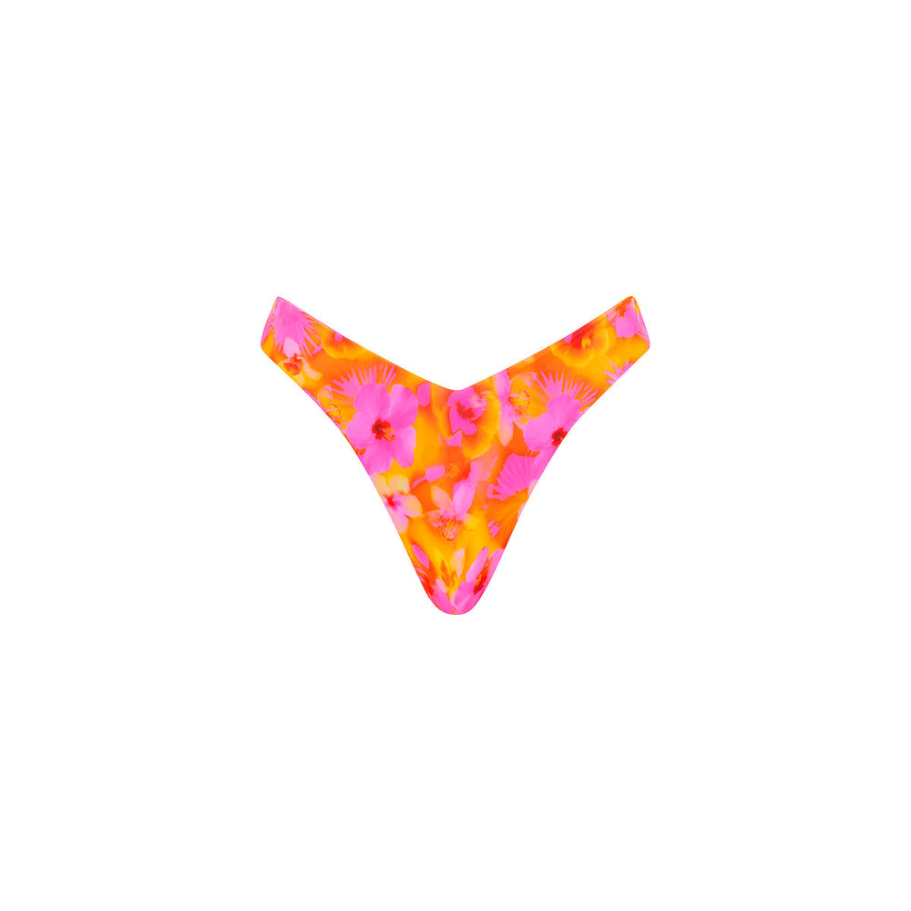 Y Cheeky Bikini Bottom - Honey Baby